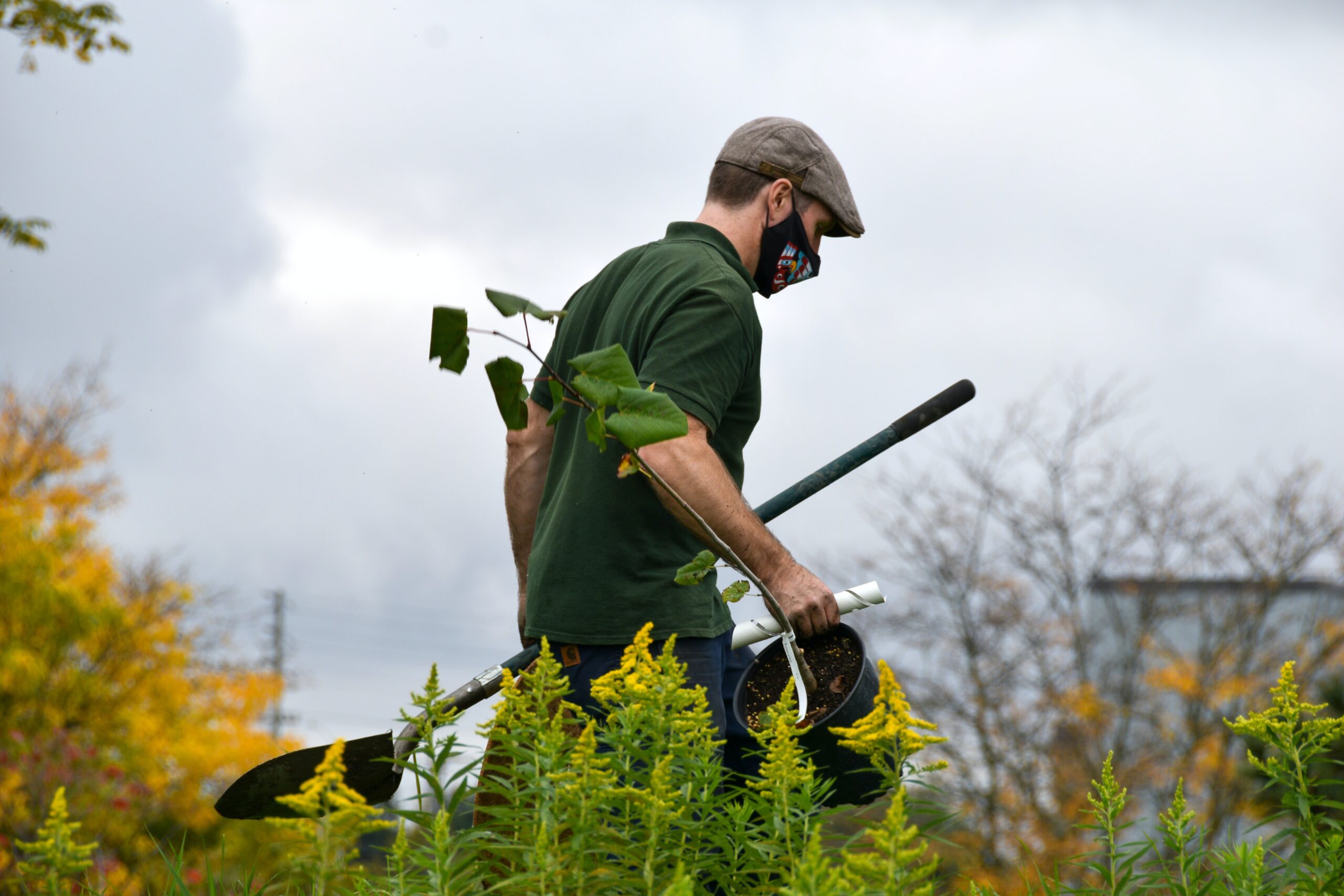 Entretien de jardin sur Bordeaux, Jardinier et Paysagiste à Bruges et Bordeaux